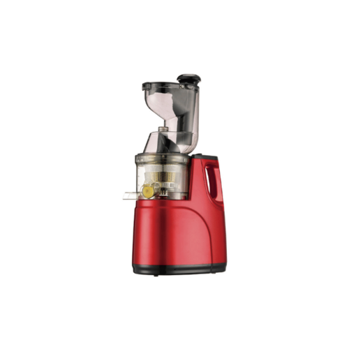 Rebune RE-2-080 Slow Juicer By Other