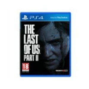 PS4 The Last Of Us Part II photo