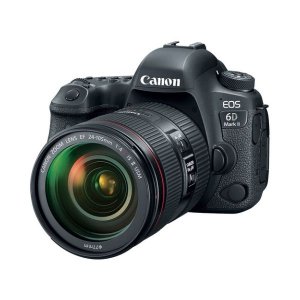 Canon EOS 6D Mark II DSLR Camera With 24-105mm F/4L II Lens photo