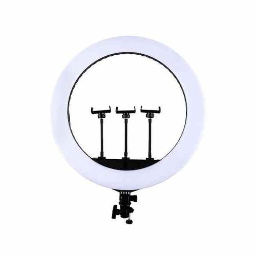 JMARY FM 21-R 21” LED -PRO Ring Light W/Remote By Other