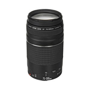 Image for Canon EF 75-300mm F/4-5.6 III Lens