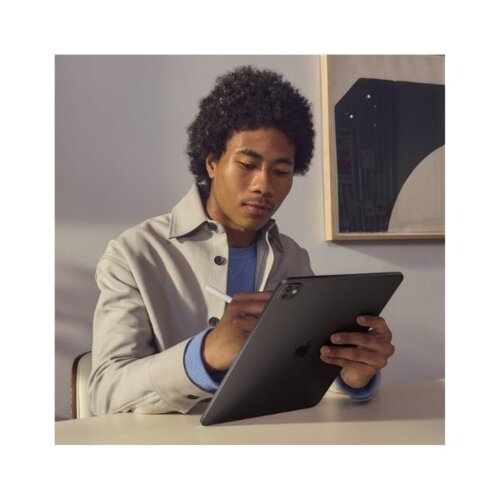 Apple IPad Pro 11 Inch 512GB M4 WiFi + Cellular