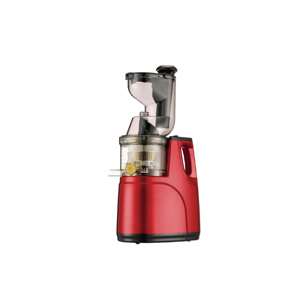 Rebune RE-2-080 Slow Juicer by Other