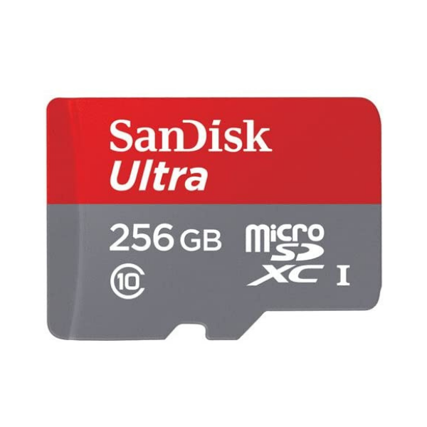 SanDisk MicroSD CLASS 10 80MBPS 256GB by Sandisk