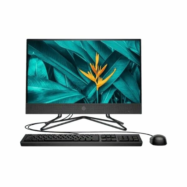 HP 200 G4 All-in-One PC Core I5, 4GB RAM, 1TB HDD 22” Display 10th Gen by HP