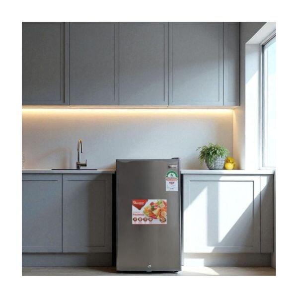 Ramtons 90L Single Door Direct Cool Fridge - Titan Silver, RF/256 by Ramtons — view 5